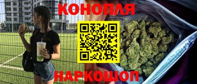 стаф Кингисепп