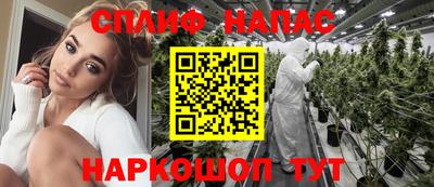 стаф Кингисепп