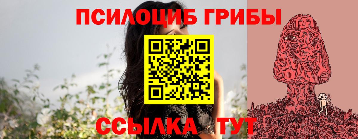 Псилоцибиновые грибы Cubensis Кувандык